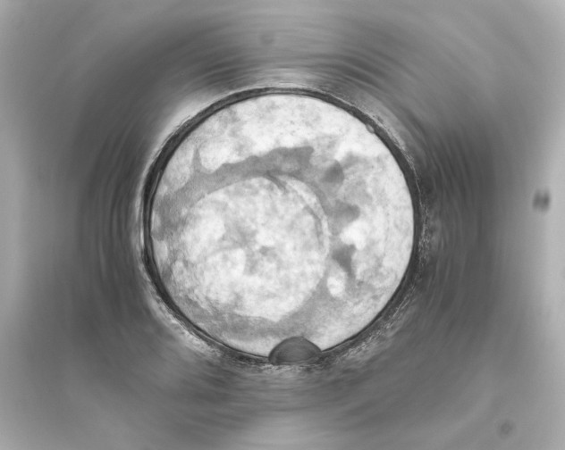 X0000093611080200711121207