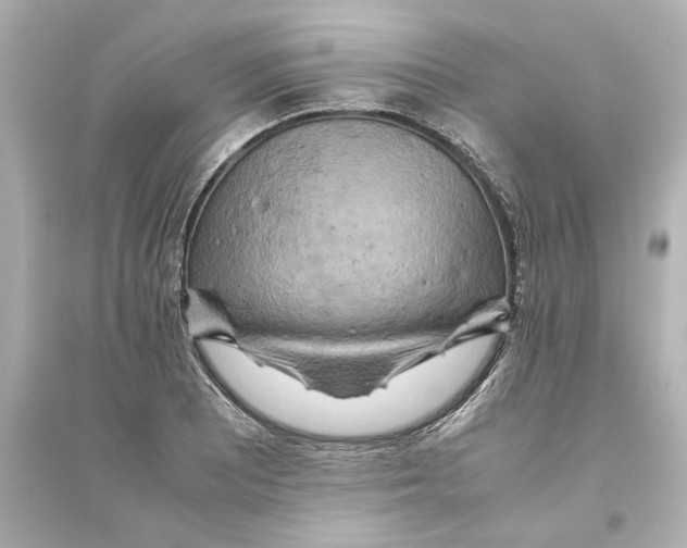 X0000093611081200711121207