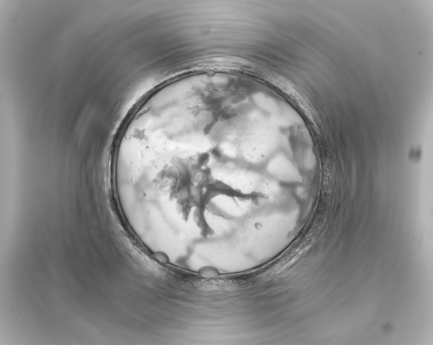 X0000093611083200711121207