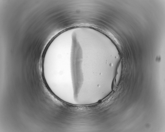 X0000093611084200711121206