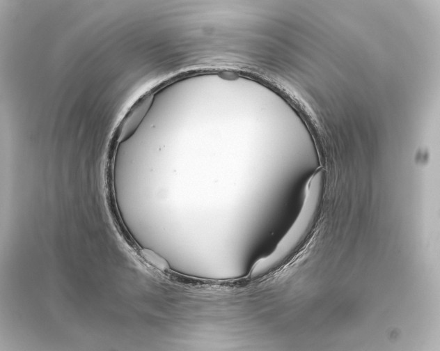 X0000093611085200711121206
