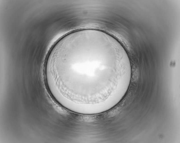 X0000093611086200711121206