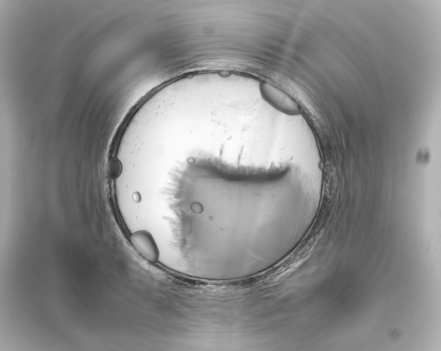 X0000093611087200711121206