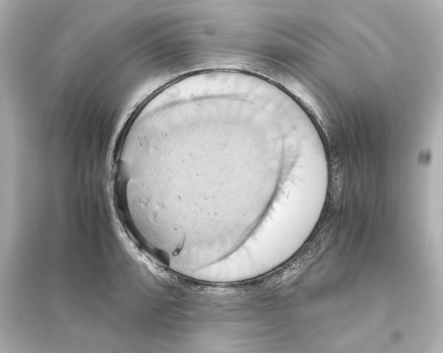 X0000093611088200711121206