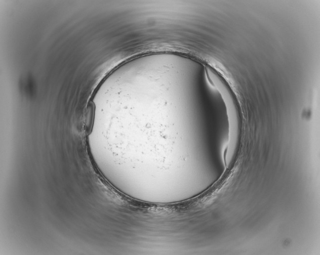 X0000093611089200711121206
