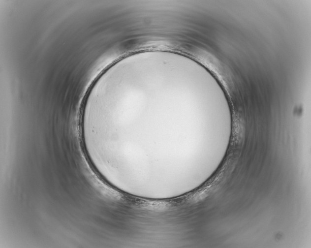 X0000093611090200711121206