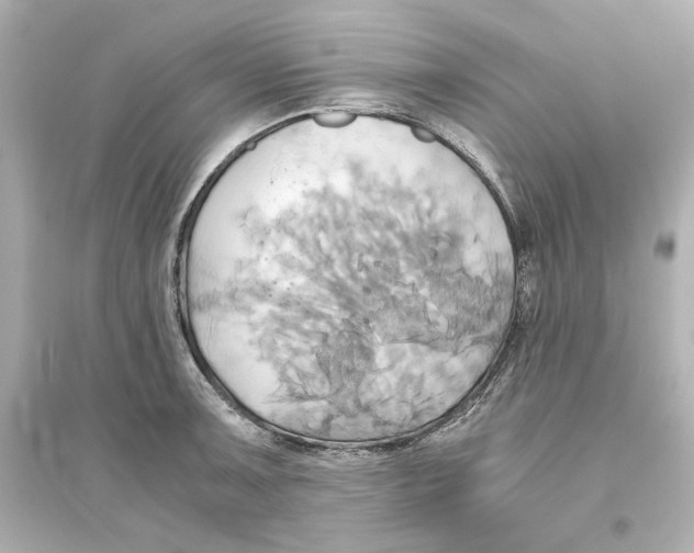 X0000093611091200711121206