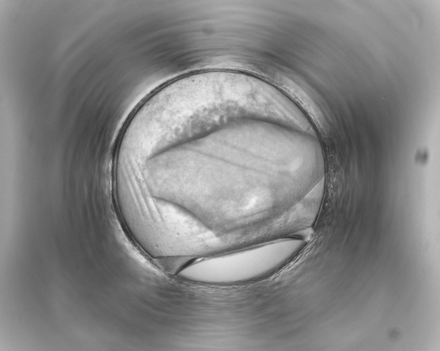 X0000093611092200711121206