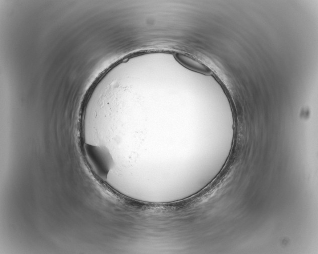 X0000093611093200711121206