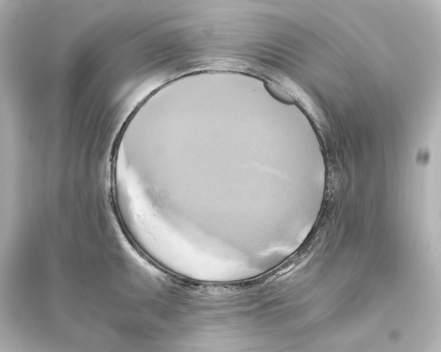 X0000093611095200711121206