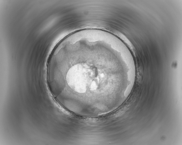 X0000093611096200711121206