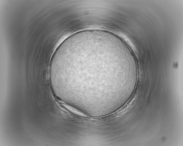 X0000093611097200711121206