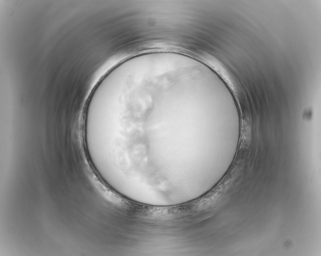 X0000093611098200711121206