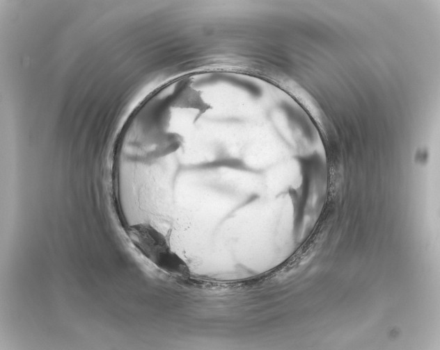 X0000093611099200711121206