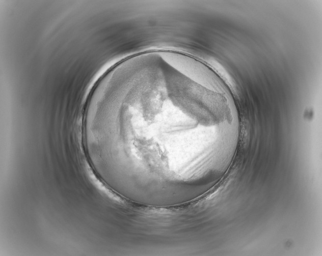 X0000093611100200711121206