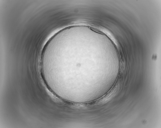 X0000093611101200711121206