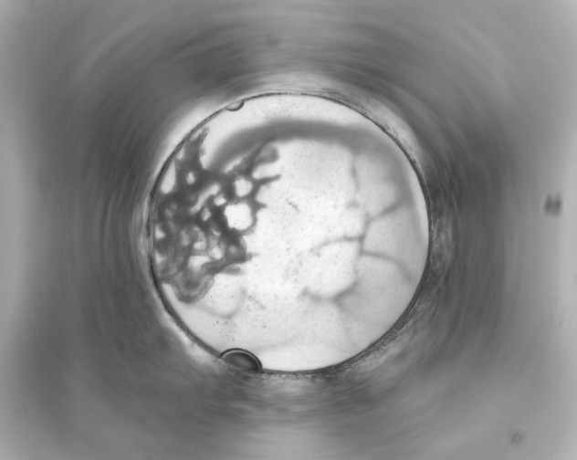 X0000093611103200711121206