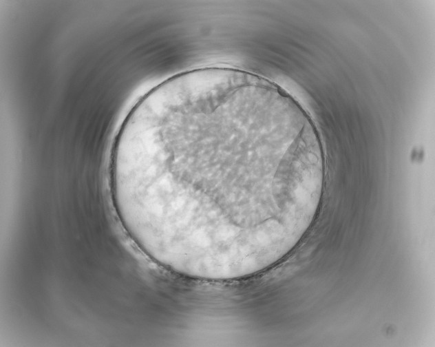 X0000093611104200711121206