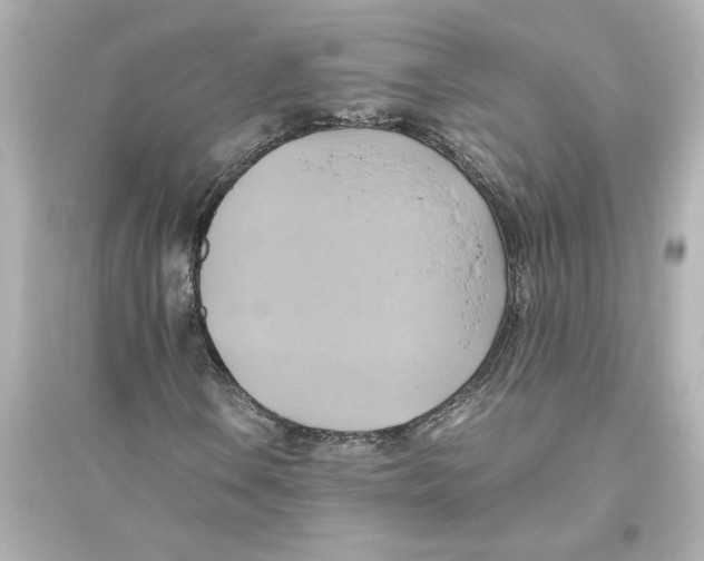 X0000093611106200711121205