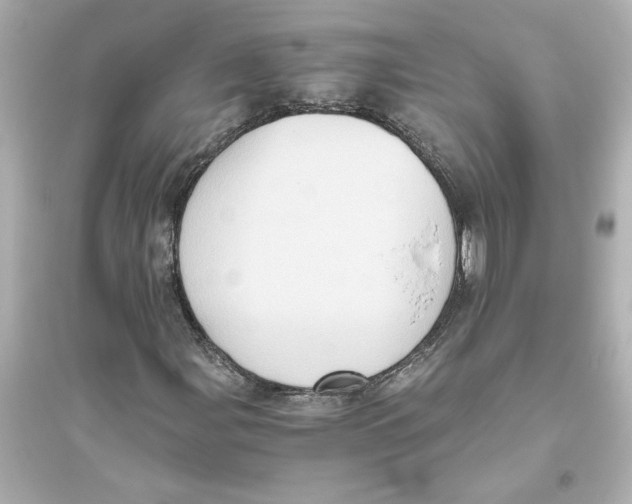 X0000093611107200711121205