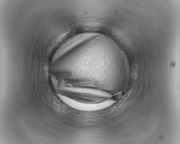 X0000093611108200711121205