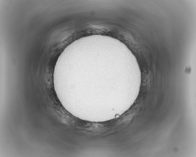 X0000093611109200711121205