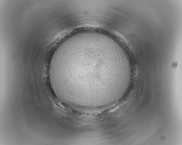 X0000093611110200711121205