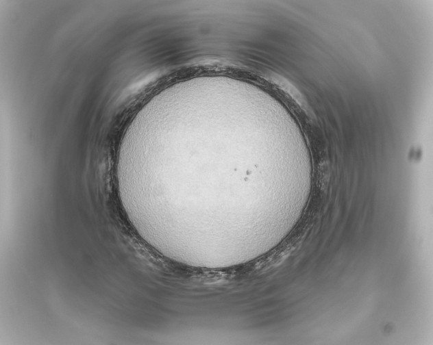 X0000093611111200711121205