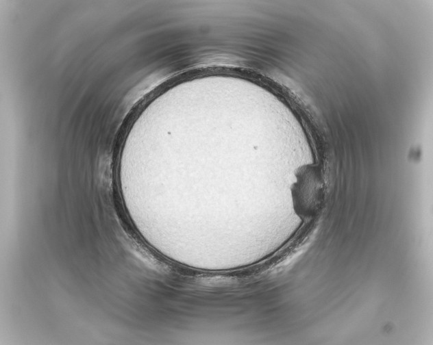 X0000093611113200711121205