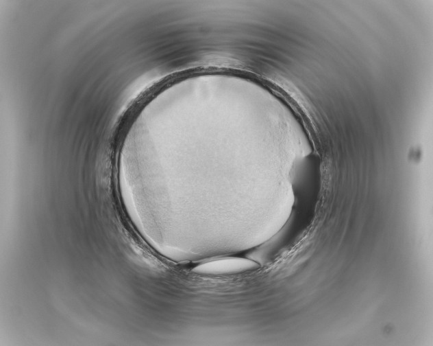 X0000093611115200711121206
