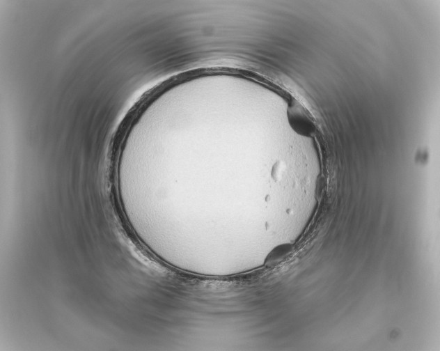 X0000093611116200711121206