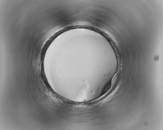X0000093611117200711121206