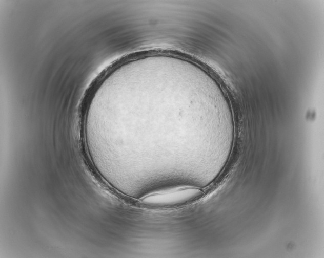 X0000093611118200711121206
