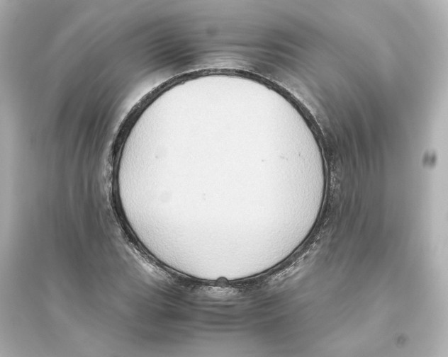 X0000093611119200711121206