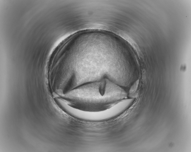 X0000093611120200711121206