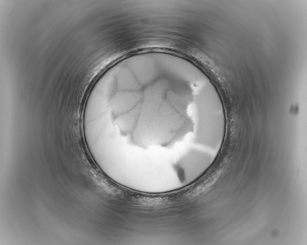 X0000093611121200711121206