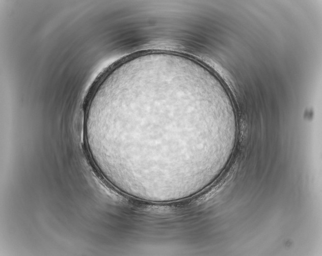 X0000093611123200711121206