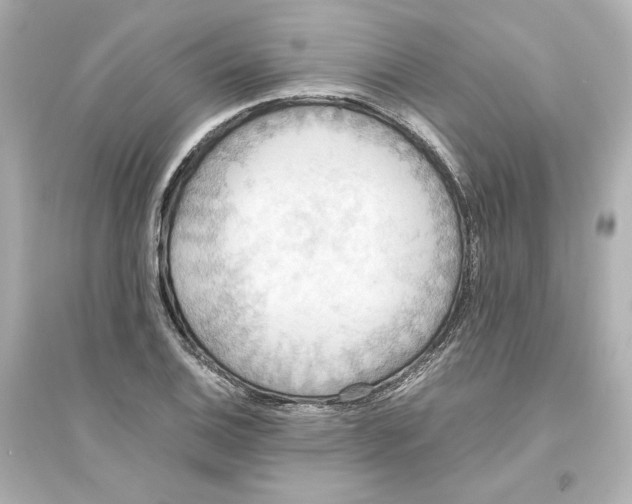 X0000093611124200711121206