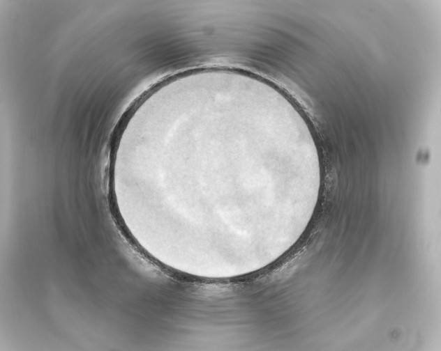 X0000093611126200711121206
