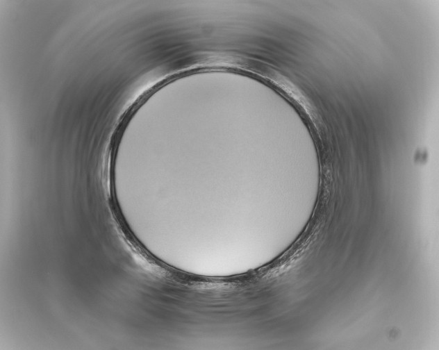 X0000093611127200711121206