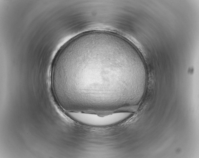 X0000093611128200711121206