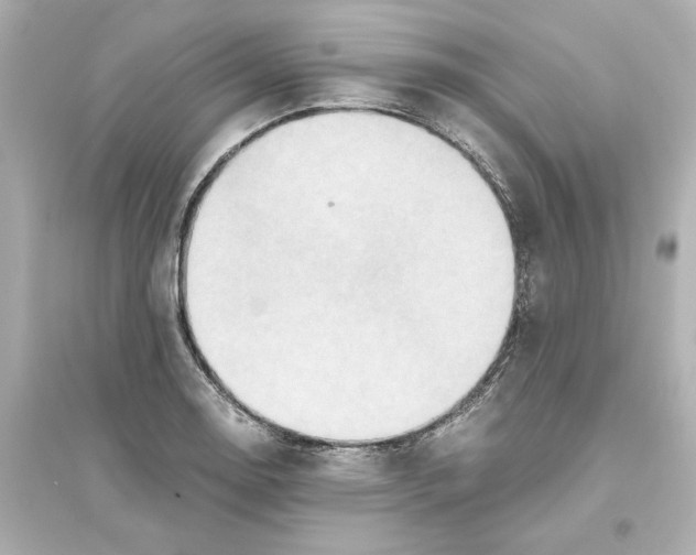X0000093611130200711121206