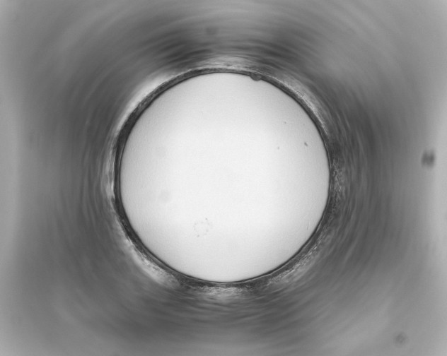 X0000093611131200711121206