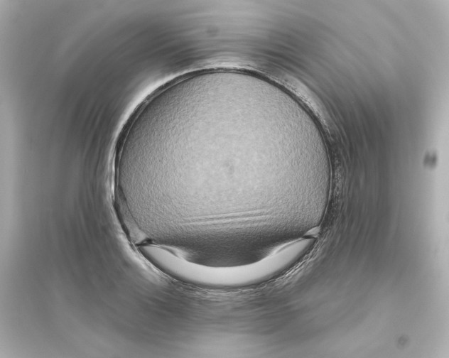 X0000093611132200711121206