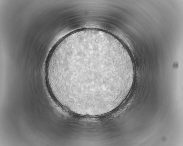X0000093611133200711121206