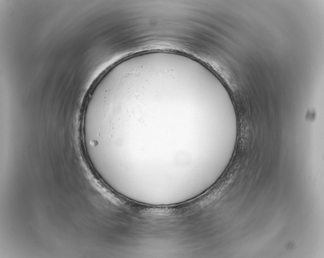 X0000093611134200711121206