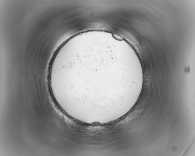 X0000093611135200711121206
