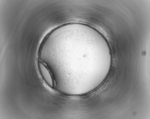 X0000093611136200711121206