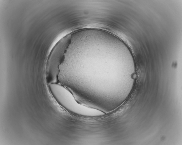 X0000093611138200711121206