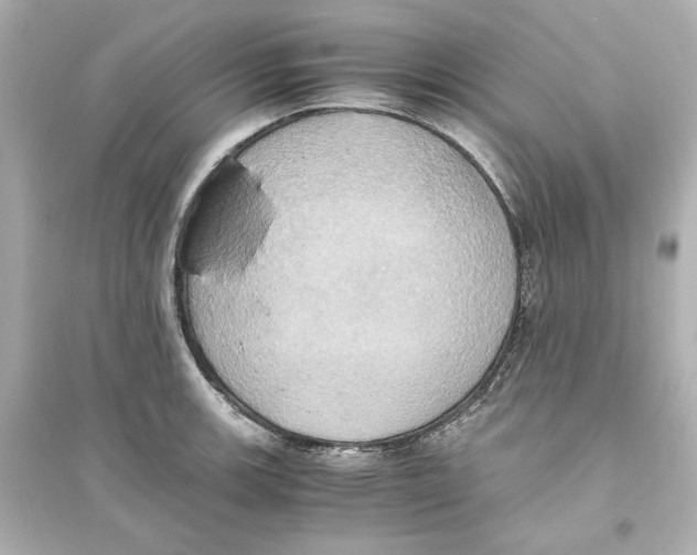 X0000093611139200711121206
